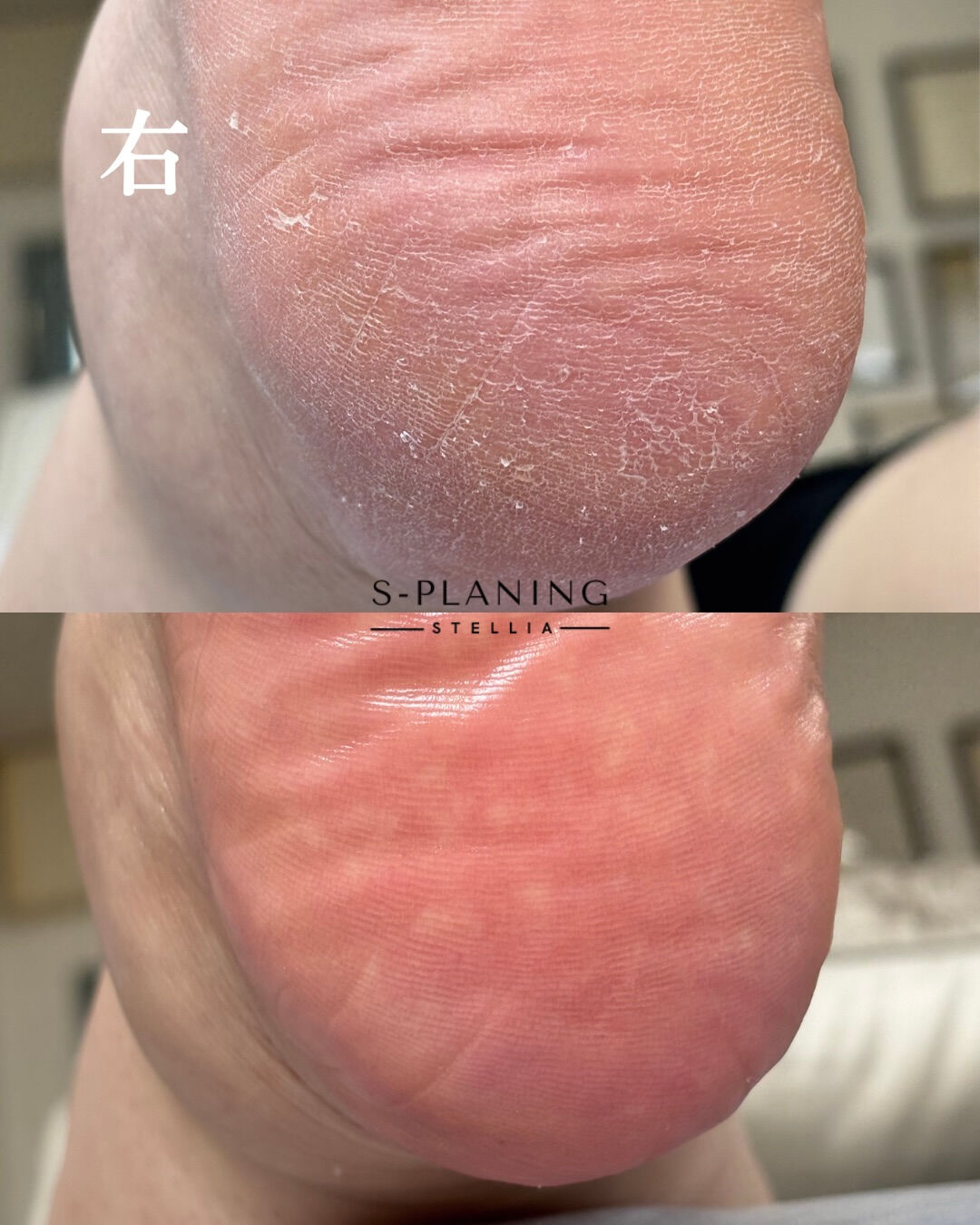 こんにちは❣️