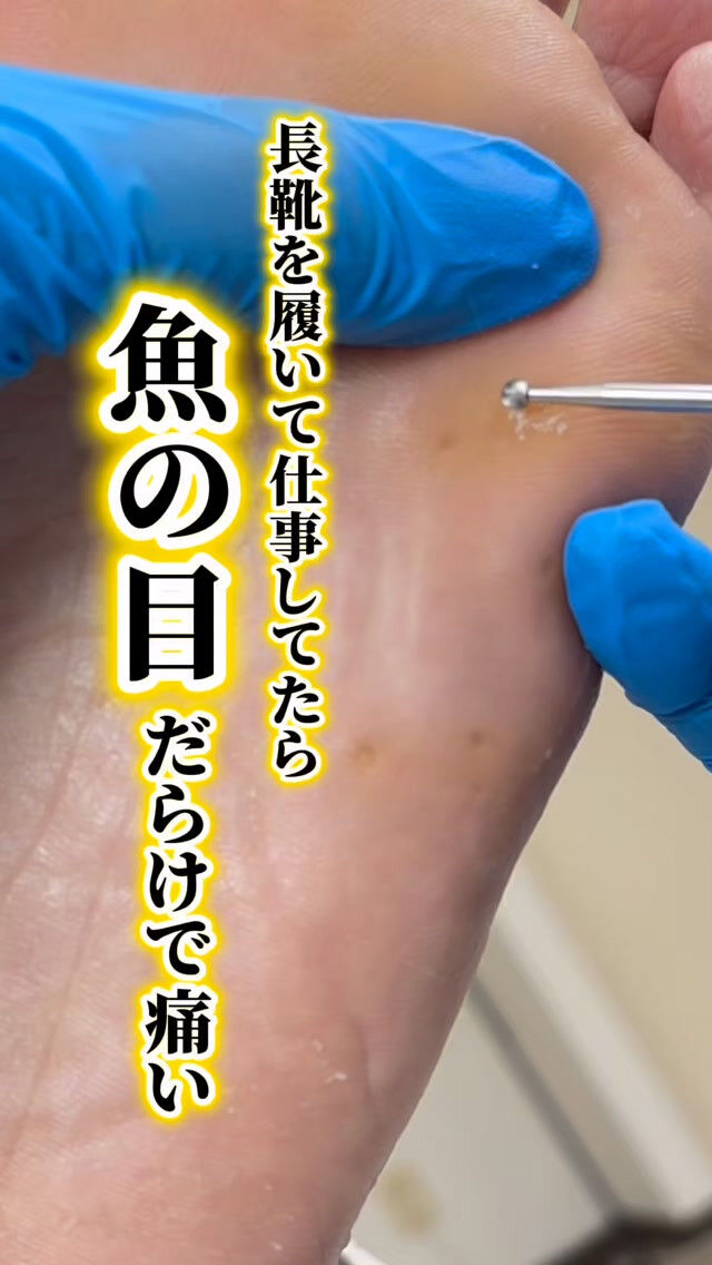 こんにちは❣️