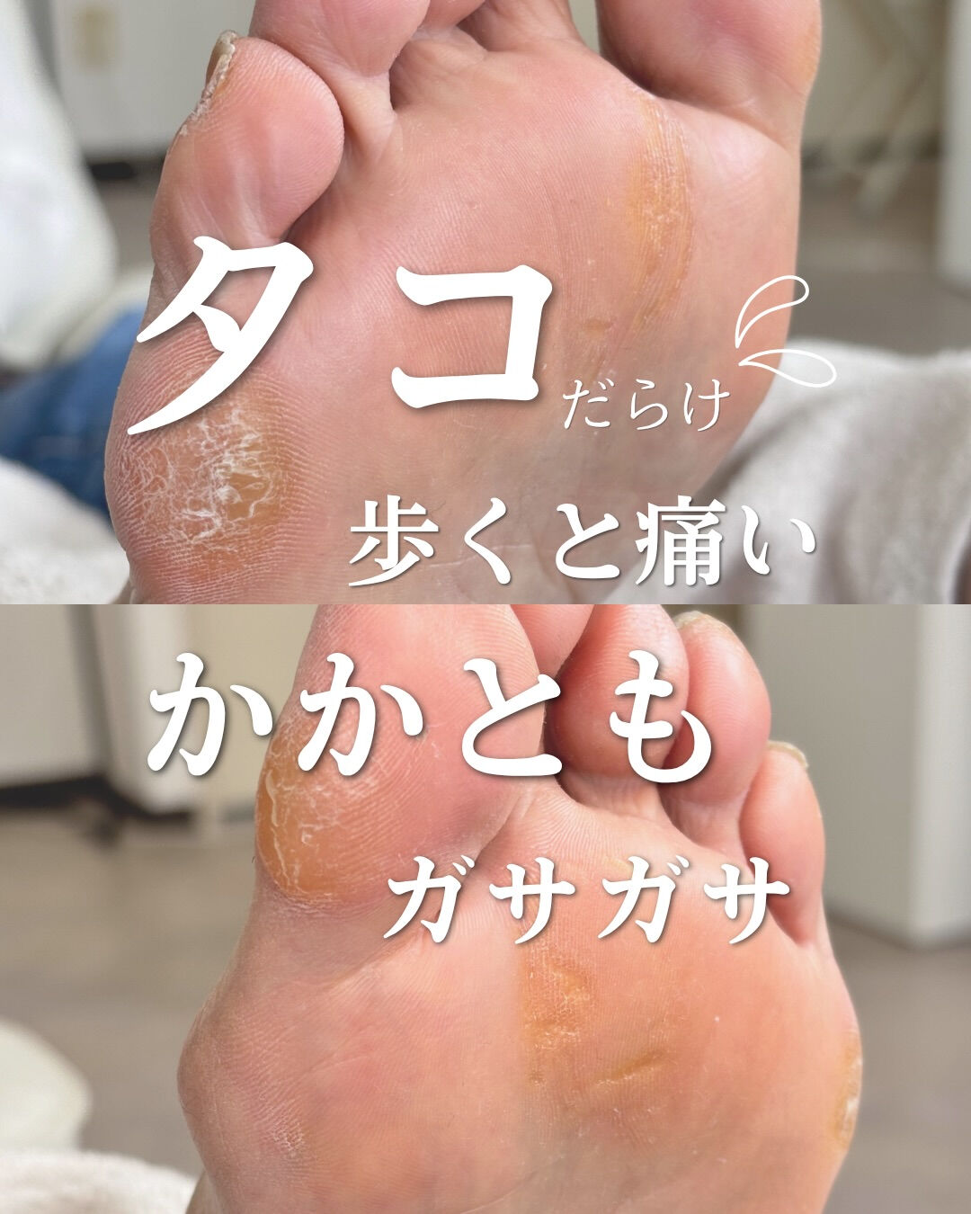 こんにちは❣️