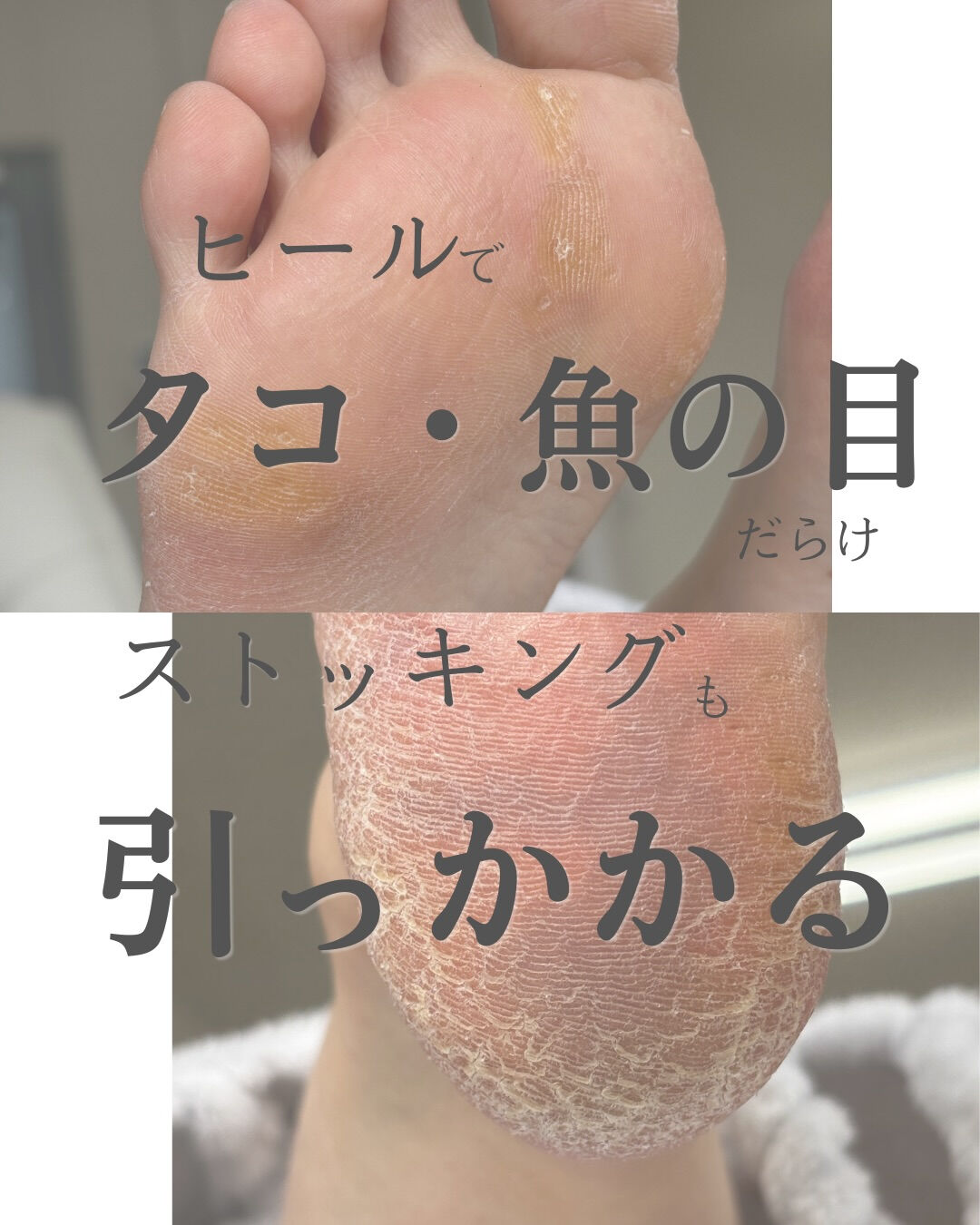 こんにちは❣️