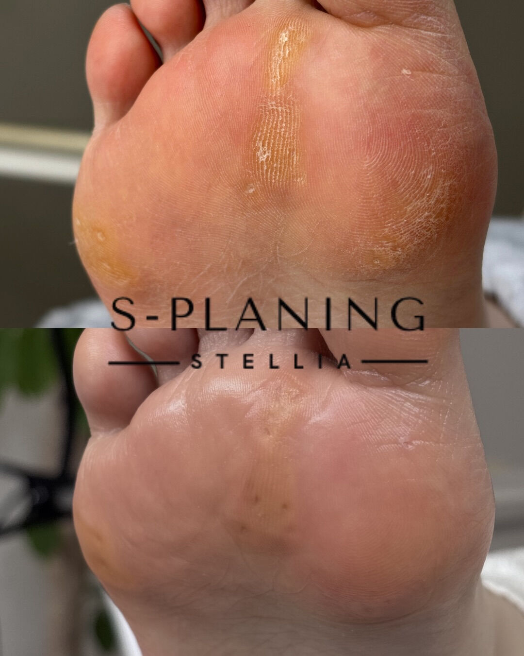 こんにちは❣️