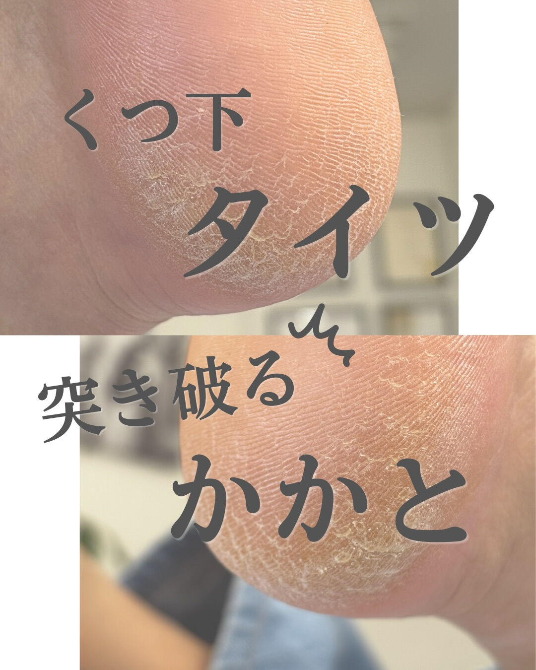 こんにちは❣️
